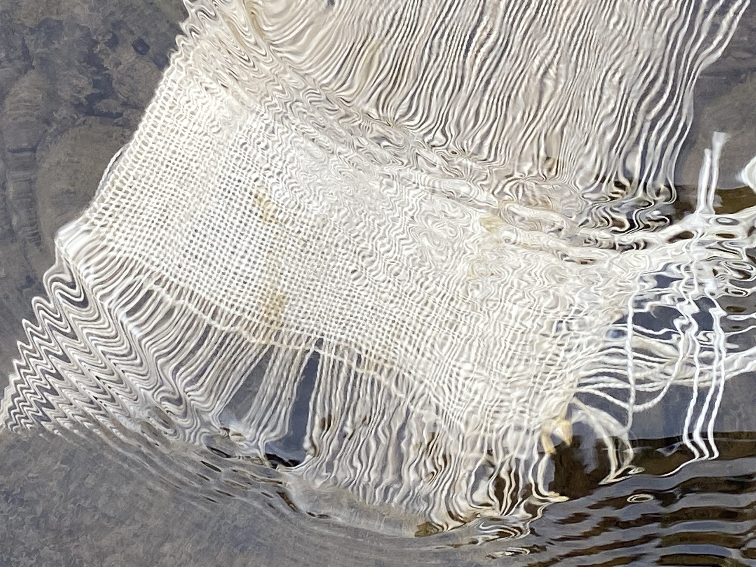 WEAVING CLUB workshop series