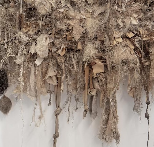 Exhibition Opening and Reception: Symbiocene Era