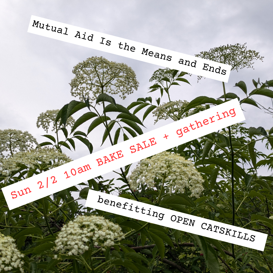 "Mutual Aid Is the Means and Ends" opening gathering + bake sale for Open Catskills