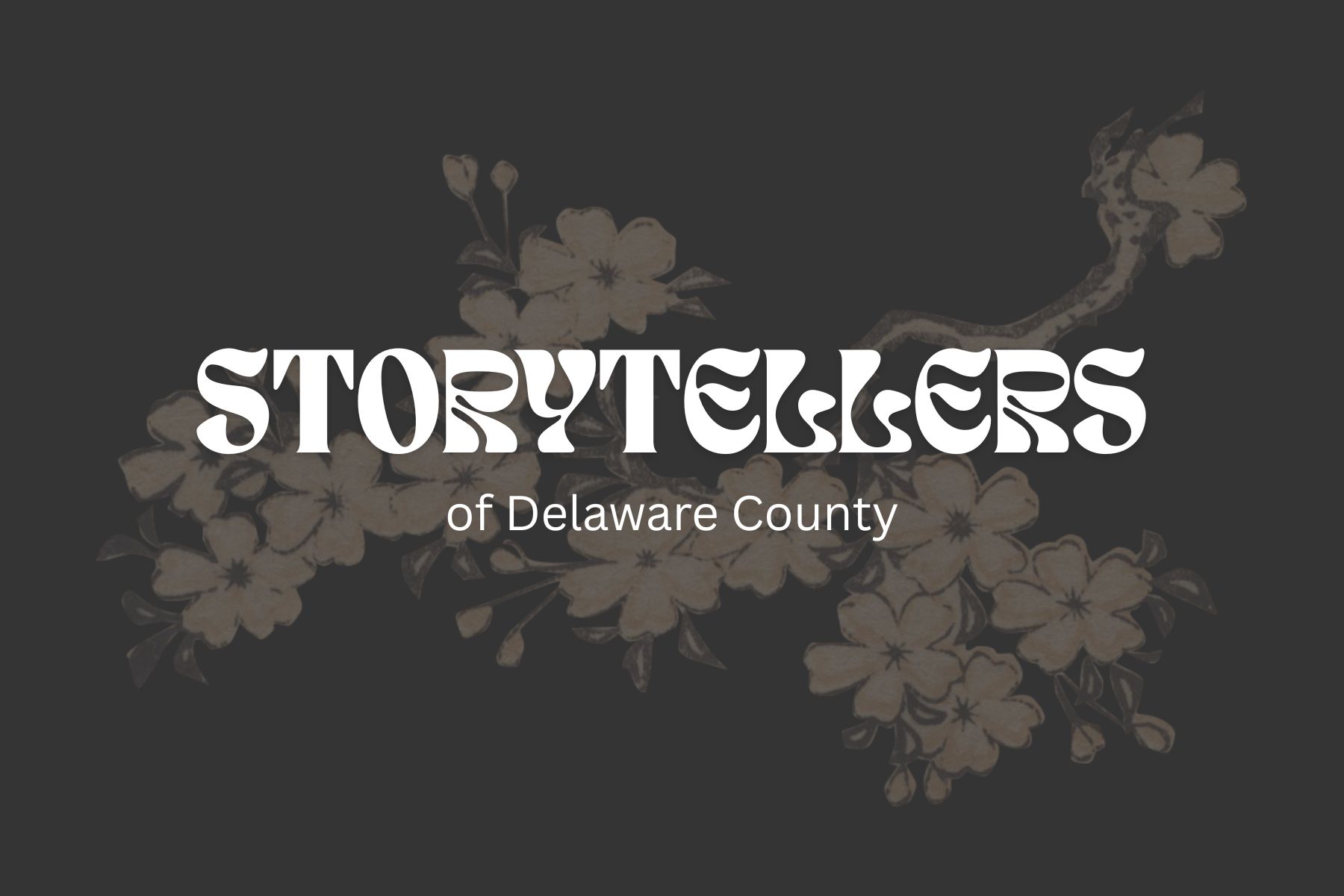 Storytellers in Delaware County