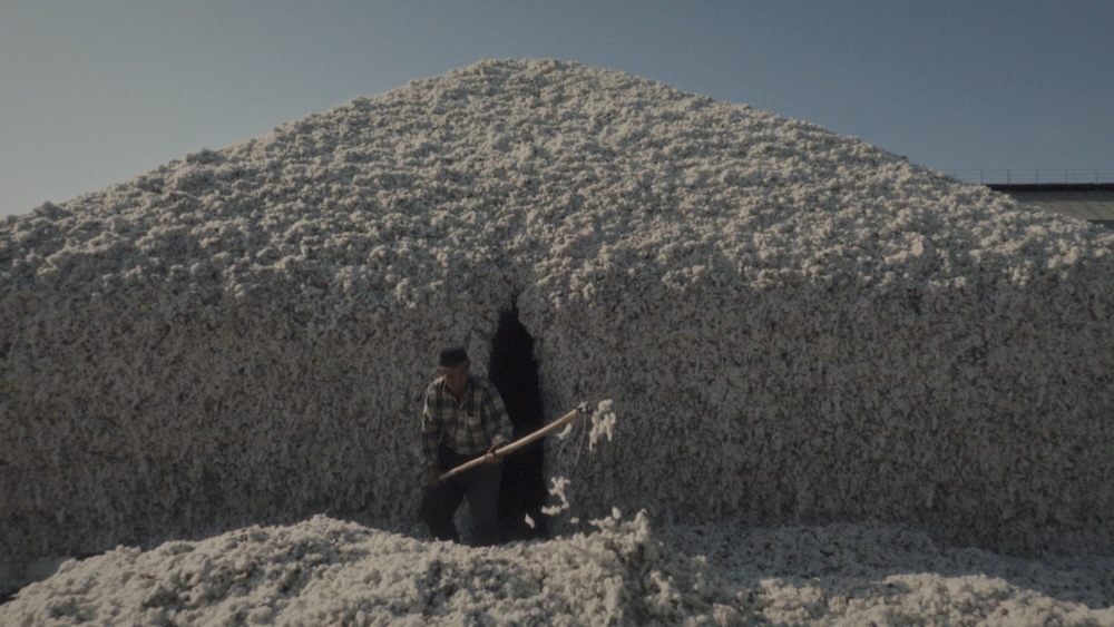 [Screening with Director Q&A] Cotton 100%