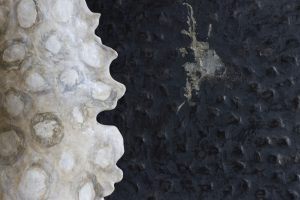 [Exhibition Opening] One Dreams Up Another: Kelli Cain + Anthony Chase